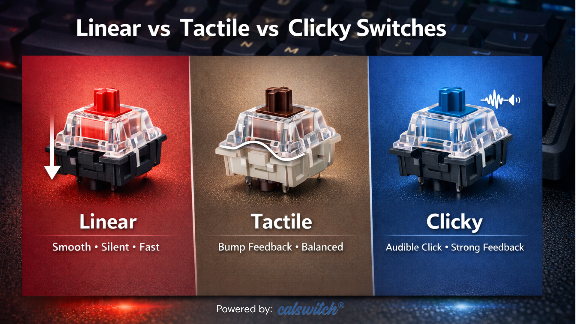 Linear vs Tactile vs Clicky Switches